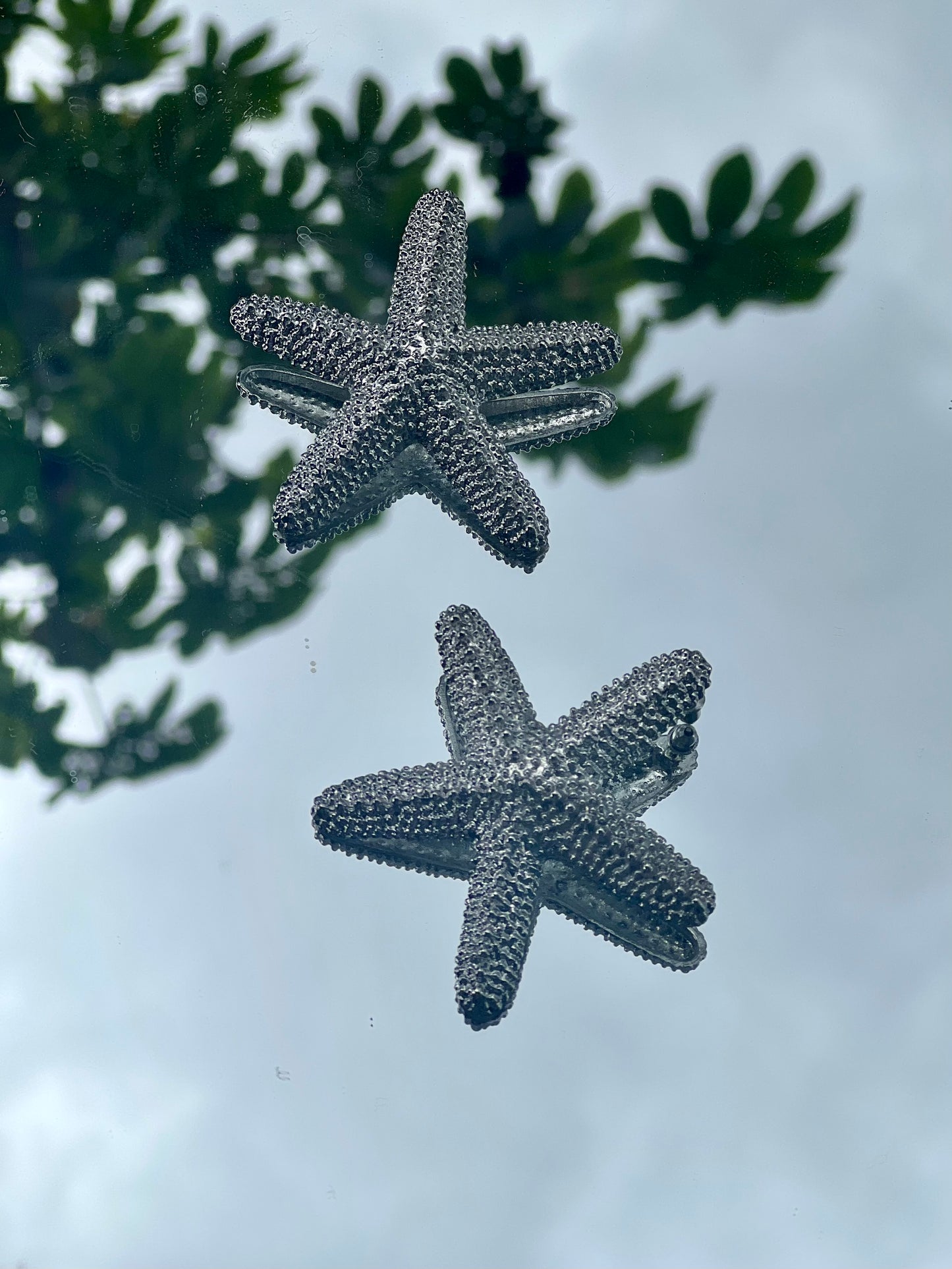 Pantallas de estrella plateadas