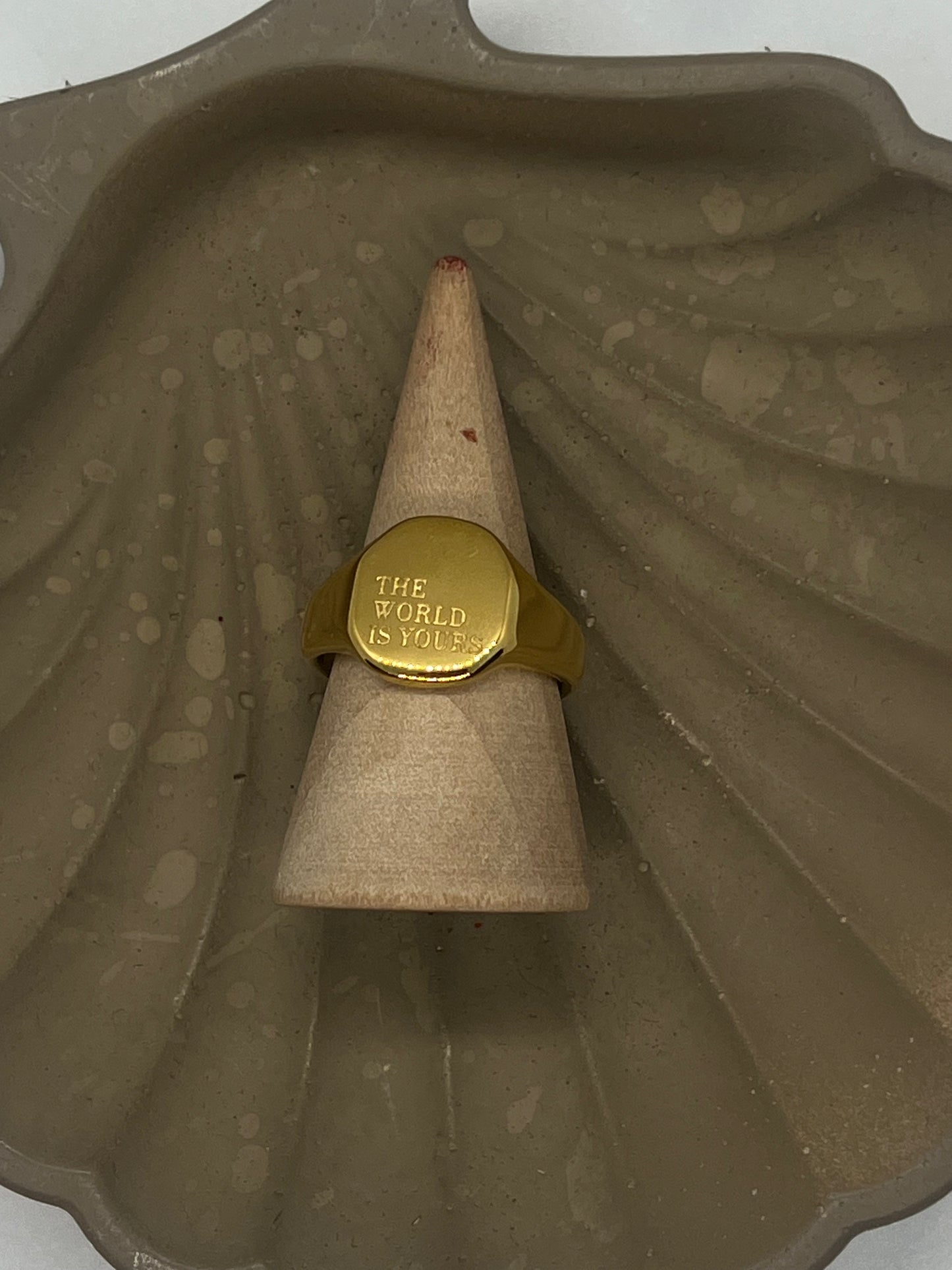 The World Is Yours Ring