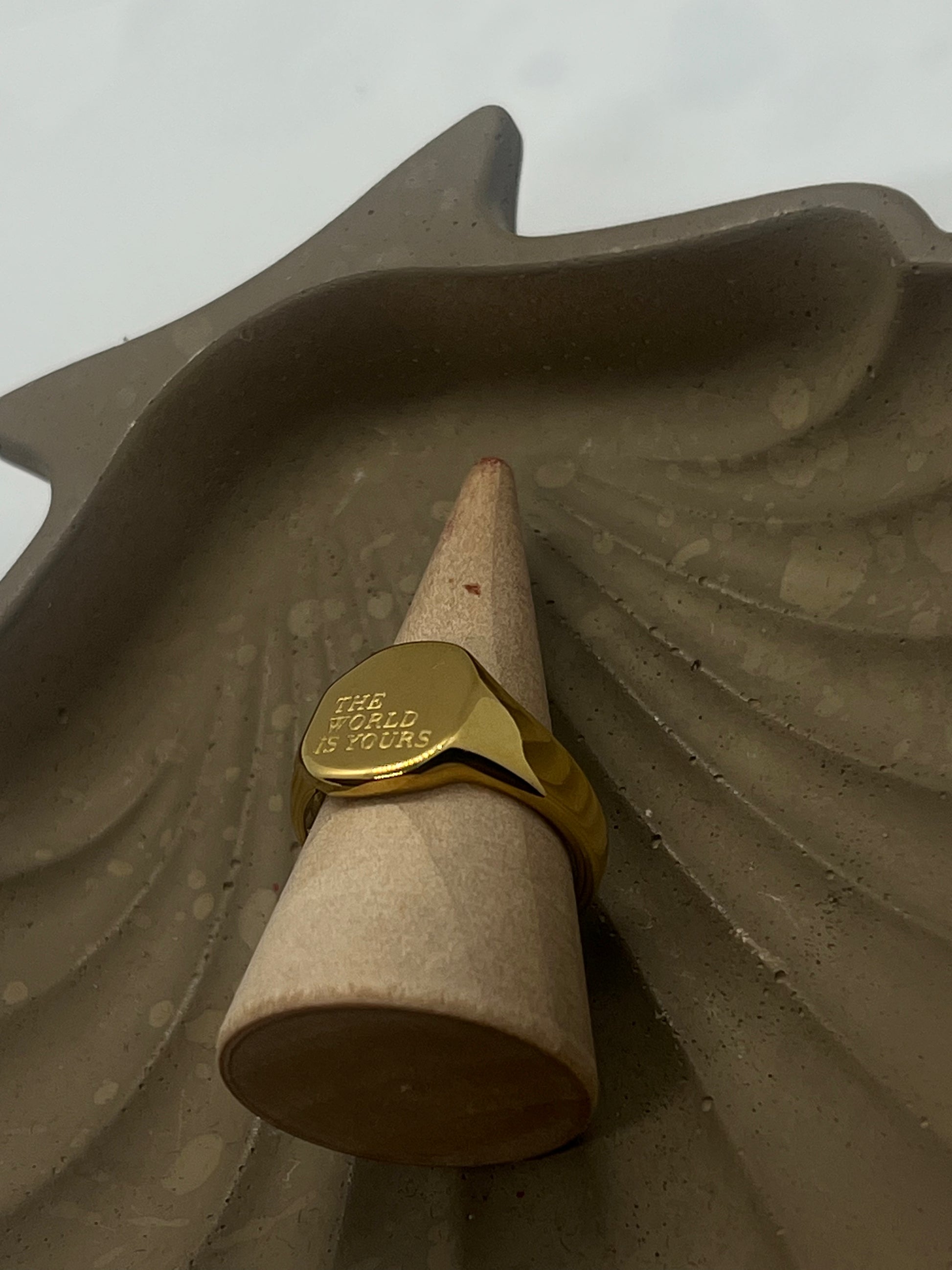 The World Is Yours Ring